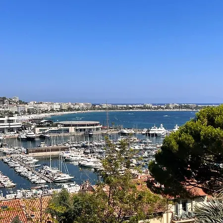 A Cosy Nest In The Suquet District Near The Sea Apartment Cannes
